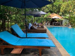 a couple of blue chairs and an umbrella next to a swimming pool at Studio Lumbung in Lovina