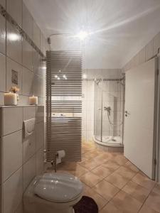 a white bathroom with a toilet and a shower at Cozy Appartement Belvaux in Belvaux