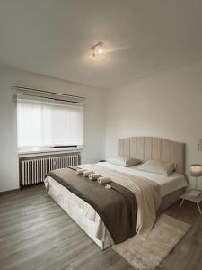 a bedroom with a large bed and a window at Cozy Appartement Belvaux in Belvaux