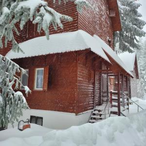 una cabaña de madera cubierta de nieve en el bosque en VILA DARIA en Vartop