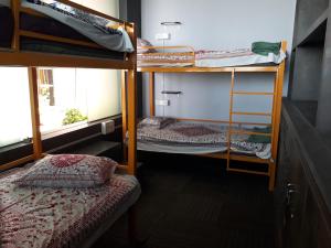 two bunk beds in a room with a window at Lotus View Living by Three Peace Soup in Hyderabad