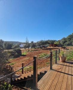 a wooden boardwalk with horses in a field at Tiny House Loule Algarve in Loulé