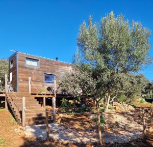 une maison sur une colline avec un arbre dans l'établissement Tiny House Loule Algarve, à Loulé