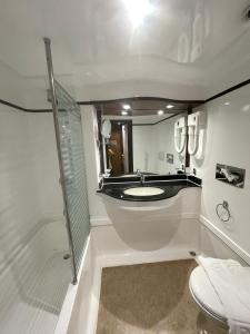 La salle de bains est pourvue d'un lavabo, d'une douche et de toilettes. dans l'établissement Orient MS Grand Rose, à Louxor
