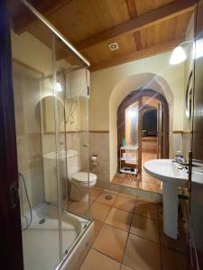 a bathroom with a shower and a toilet and a sink at Casa Rural en medio del bosque, El Lance in Firgas