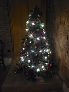 Foto dalla galleria di Friends Hostel a Tbilisi City
