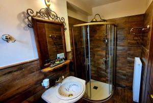 a bathroom with a shower and a toilet and a sink at En Dimitsani in Dhimitsana