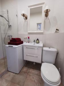 a white bathroom with a toilet and a shower at Apartamentai prie bažnyčios in Palanga