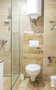 a bathroom with a toilet and a shower at Milmari Apartments Pahulja N Lux in Kopaonik +42 photos