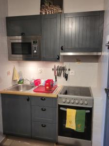 Kuchnia lub aneks kuchenny w obiekcie studio agay a 2 pas des plages