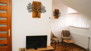 salon z telewizorem i 2 krzesłami w obiekcie Liget Apartman w mieście Pusztaszabolcs
