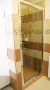 W łazience znajduje się szklana kabina prysznicowa i umywalka. w obiekcie Liget Apartman w mieście Pusztaszabolcs