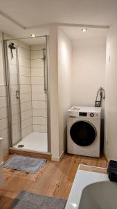 a bathroom with a shower and a washing machine at Ferienwohnung Albbruck/Albert in Albbruck