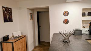 Kuchyň nebo kuchyňský kout v ubytování Ferienwohnung Albbruck/Albert