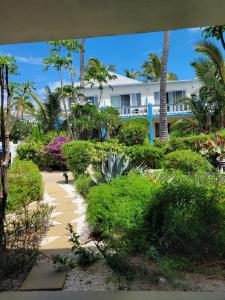 Blick auf ein Resort mit Palmen und Büschen in der Unterkunft Sibonne Beach Hotel in Grace Bay