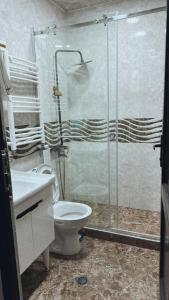 a bathroom with a toilet and a glass shower at Vitali Apartment in Borjomi