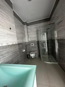 a bathroom with a shower and a toilet at Apartmán Lodenica in Piešťany