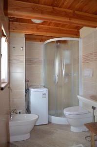 a bathroom with a shower and a toilet and a sink at Holiday house with garden and enchanting view in Villeneuve