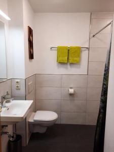 a bathroom with a white toilet and a sink at Moarhof Holzhausen in Holzhausen