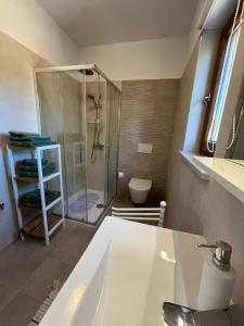 a bathroom with a shower and a sink at Studio Apartman Nika in Višnjan +21 photos