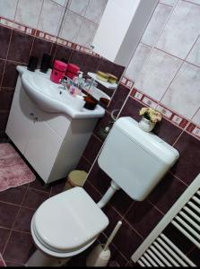 a bathroom with a white toilet and a sink at Stan na dan Pale Apartman Danica in Pale