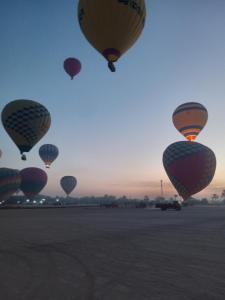 a group of hot air balloons in a field at Noby Guest House in Luxor