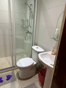 a bathroom with a shower and a toilet and a sink at Masaki - 2 Bedroom Apartment in Dar es Salaam