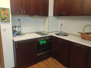 A kitchen or kitchenette at ParkView Complex Large Flat Next to Ski Lift