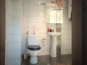 uma casa de banho com um WC e um lavatório em ParkView Complex Large Flat Next to Ski Lift em Bansko