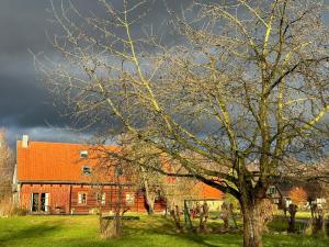 ブルクにあるLiljas Haus im Spreewaldのオレンジ色の屋根の建物前の木