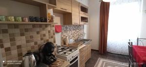 Kuchnia lub aneks kuchenny w obiekcie Karancs Apartman Salgótarján