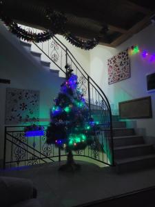 Un arbre de Noël sur un escalier éclairé dans l'établissement Old House Hotel, à Boukhara