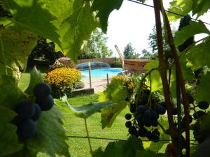 Piscina di Hotel Domittner o nelle vicinanze