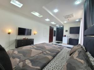 TV a/nebo společenská místnost v ubytování Ultra muse Studio Apartment