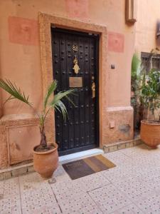 een zwarte deur met een potplant ervoor bij Riad Darnooz in Marrakesh