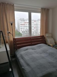 En eller flere senge i et værelse på Prague, Lovely Room in shared Flat.