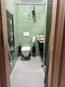 ein grünes Bad mit einem WC und einem Waschbecken in der Unterkunft Garsonka v srdci Vysočiny in Saar