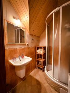 a bathroom with a sink and a shower at Apartmany Kolb Ramzová in Ostružná