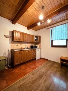Kuchyň nebo kuchyňský kout v ubytování Apartmany Kolb Ramzová