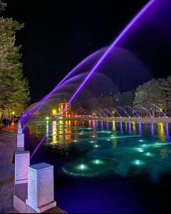 fontanna z fioletowymi światłami w wodzie w nocy w obiekcie Zlatibor Sky Inn w mieście Zlatibor