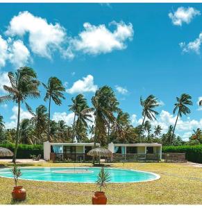 a house with a swimming pool and palm trees at Casa Bali Tofo in Praia do Tofo