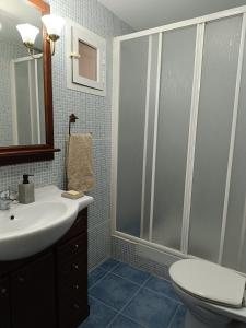 ein Bad mit einem WC, einem Waschbecken und einer Dusche in der Unterkunft Apartamentos La Sierra in Villalba de la Sierra