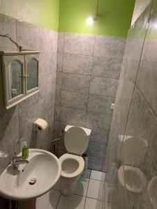 a bathroom with a toilet and a sink at Logement avec parking à proximité de l’aéroport in Les Abymes