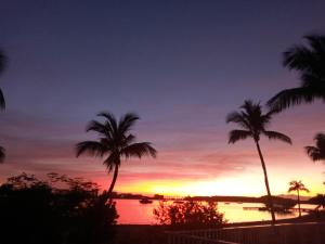 einen Sonnenuntergang mit Palmen am Strand in der Unterkunft Petit coin de paradis in Baie Nettle
