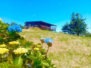 ein Gebäude auf einem Hügel mit Blumen in der Unterkunft CASA PLAYA CHAICURA in Ancud
