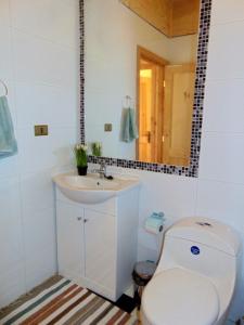 a bathroom with a toilet and a sink and a mirror at CASA PLAYA CHAICURA in Ancud