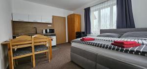ein Schlafzimmer mit einem Bett und einem Tisch sowie eine Küche in der Unterkunft Apartment Ulrich in Jablonec nad Jizerou
