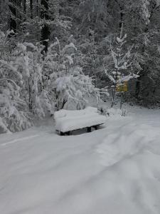 una panchina coperta di neve seduta in mezzo a una strada di Ferienwohnung Wiadahoam a Marquartstein