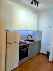 uma cozinha com um frigorífico branco e um lavatório em Borovi 3, apartman 3 em Divčibare