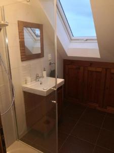 a bathroom with a sink and a shower with a skylight at Chalupa pod dubem , Hlinov , Novohradské hory , Nové Hrady in Nové Hrady